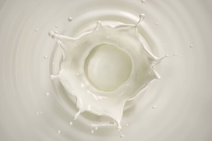 Is Milk a Homogeneous Mixture?