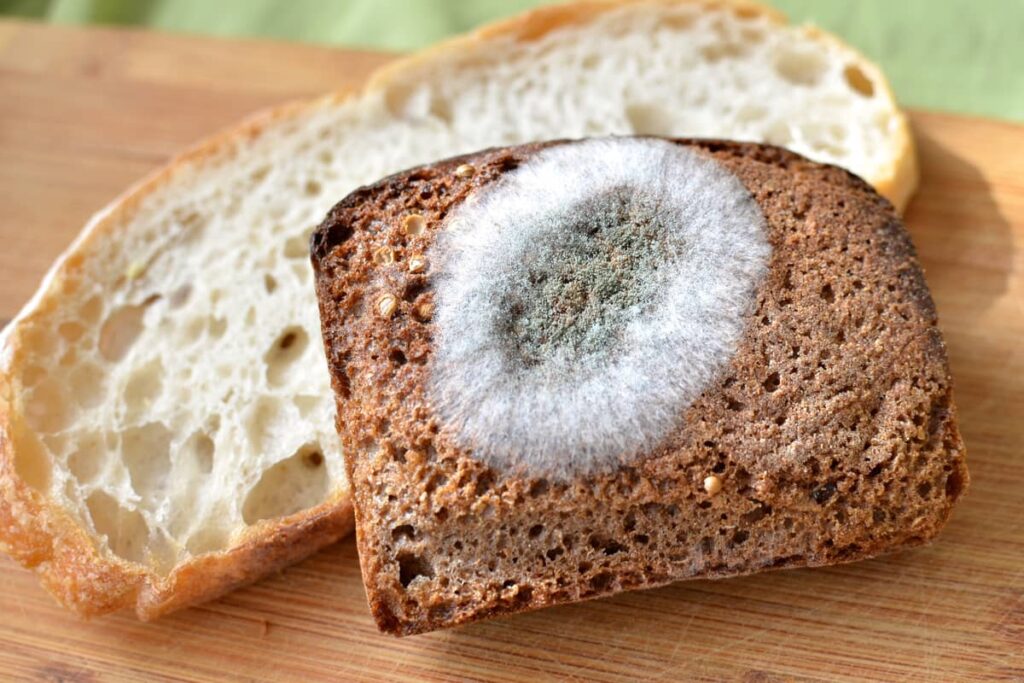 White bread molds faster