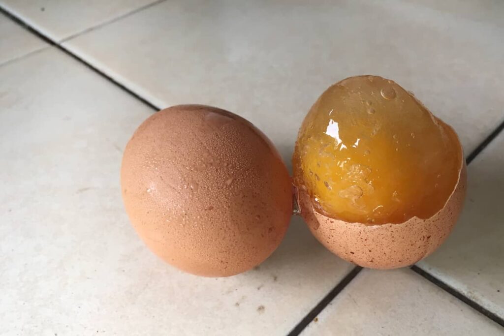 If you try to freeze whole eggs in the shell, shell will crack during to egg expansion when exposed to cold