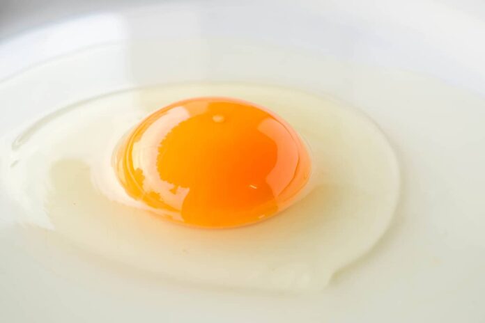 Is it safe to eat raw eggs?