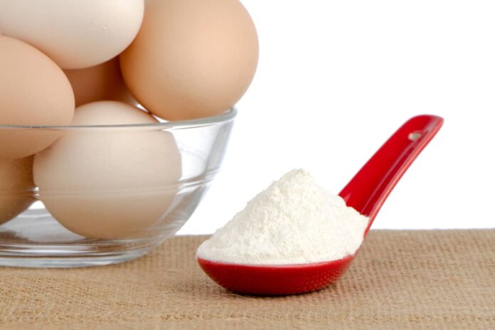 Can you bake with egg white protein powder?